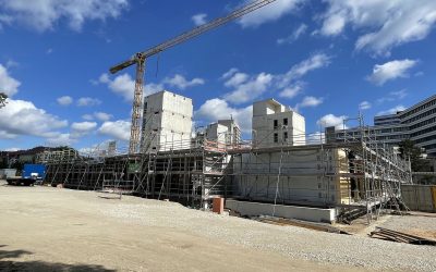 Neues MBG-Schulhaus: Holzbau im Erdgeschoss kommt voran